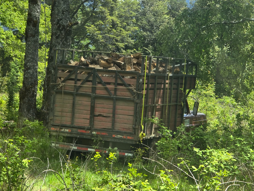 Entrega de leña a granel Fundo Los Copihues